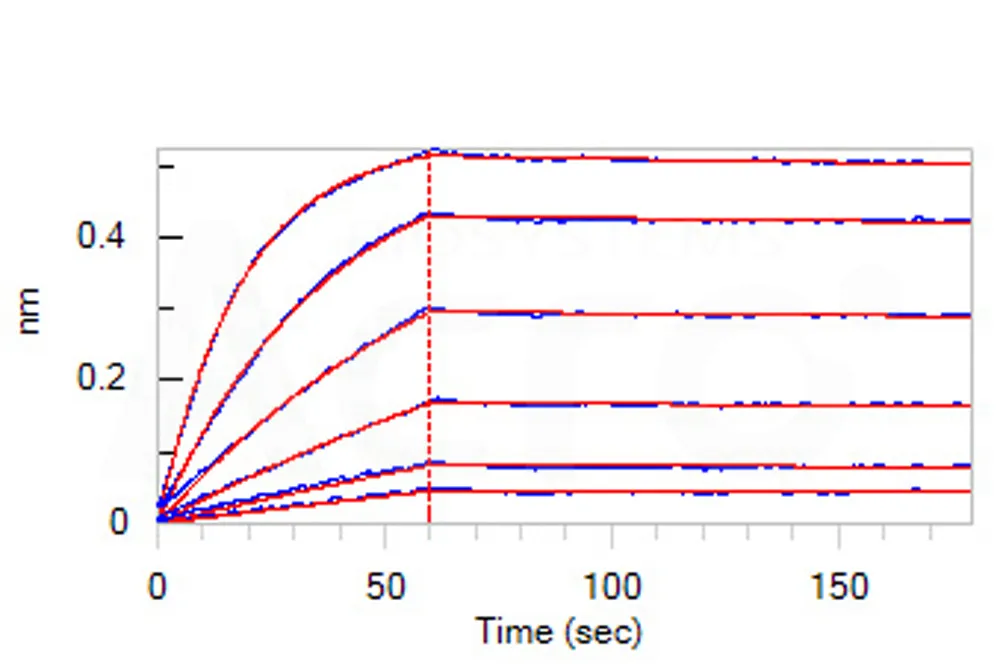 Human Siglec-3 / CD33 Protein, Llama IgG2b Fc Tag, low endotoxin - image 1
