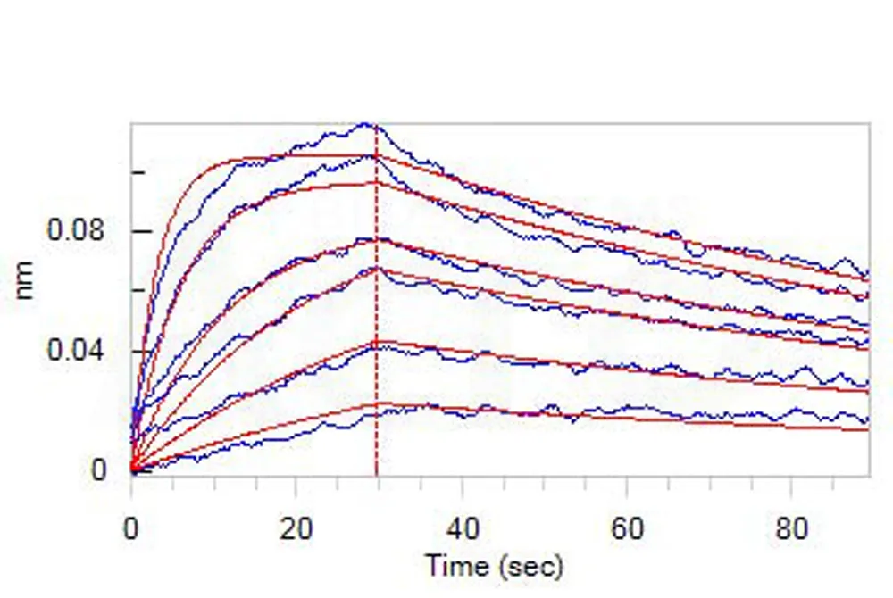Cynomolgus B7-H7 / HHLA2 Protein, His Tag (MALS verified) - image 1