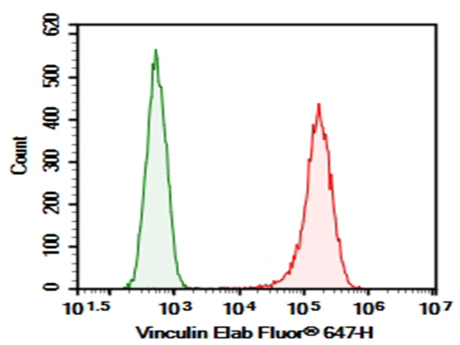 Elab Fluor® 647-conjugated Vinculin Monoclonal Antibody - image 1