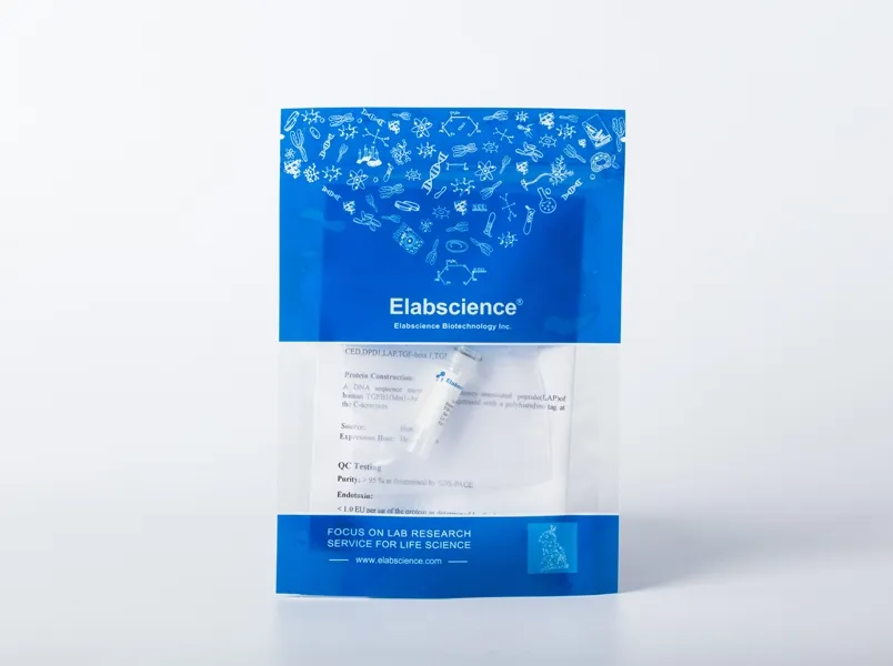 Recombinant SARS-CoV Spike/RBD Protein (RBD, rFc Tag) - image 3