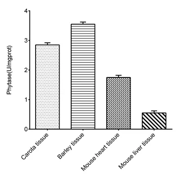 Phytase Assay Kit - image 2