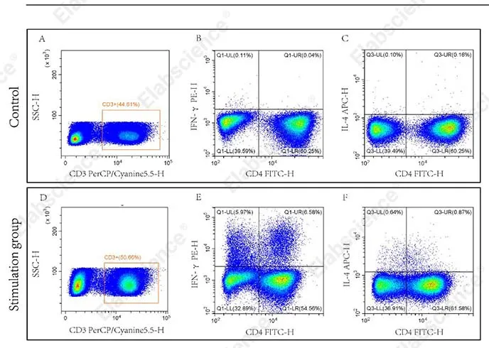 Mouse Th1/Th2 Flow Cytometry Staining Kit - image 1