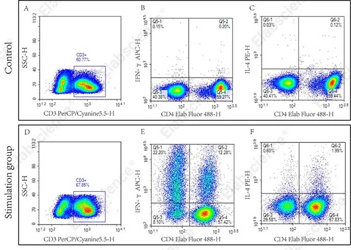 Human Th1/Th2 Flow Cytometry Staining Kit - image 1