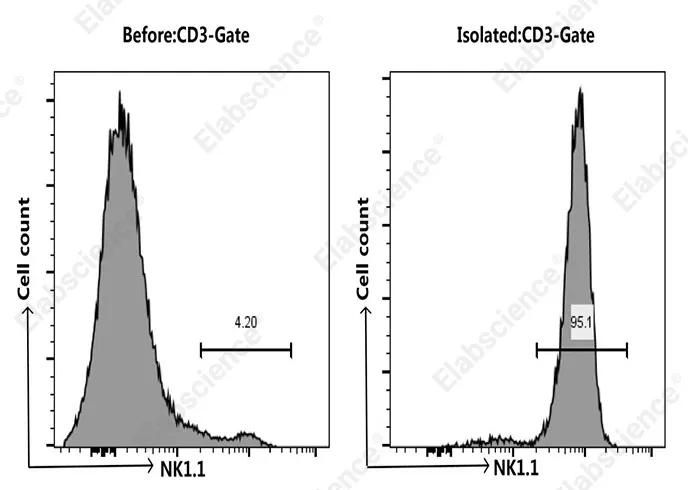 EasySort™ Mouse NK Cell Isolation Kit - image 1