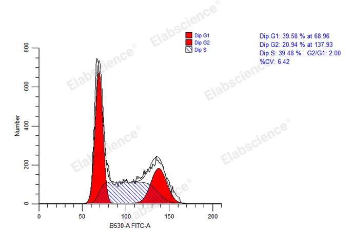 Cell Cycle Assay Kit (Green Fluorescence) - image 1