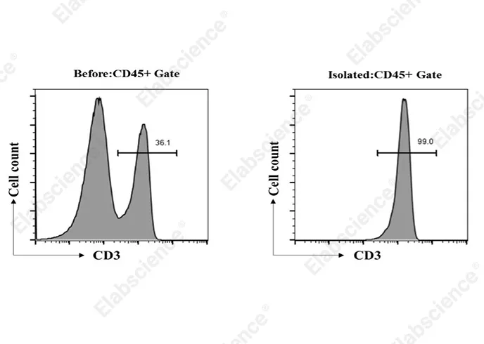 EasySort™ Mouse CD3+T Cell Isolation Kit - image 1