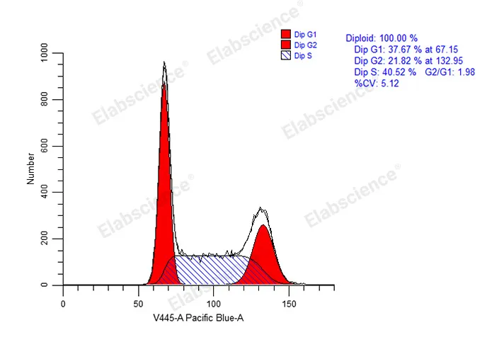 Cell Cycle Assay Kit (Blue Fluorescence) - image 1