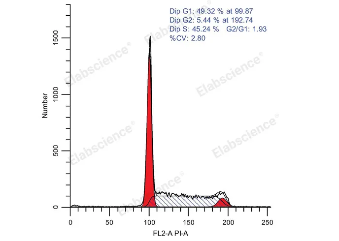 Cell Cycle Assay Kit (Red Fluorescence) - image 1