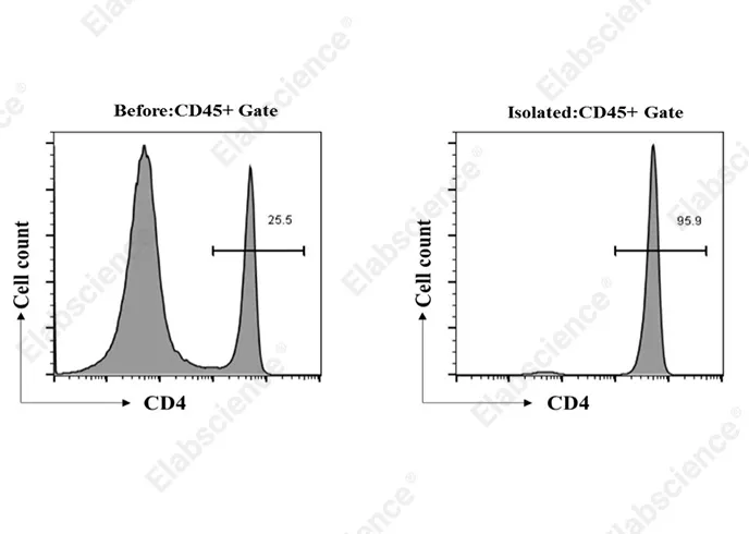 EasySort™ Mouse CD4+T Cell Isolation Kit - image 1