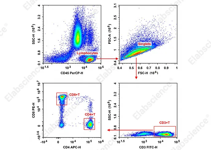 Anti-Mens CD3-FITC/CD8a-PE/CD45-PerCP/CD4-APC Cocktai
