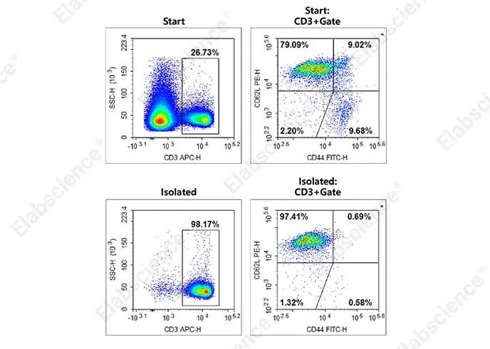 EasySortTM Mouse Pan-naïve T Cell isolatiekit