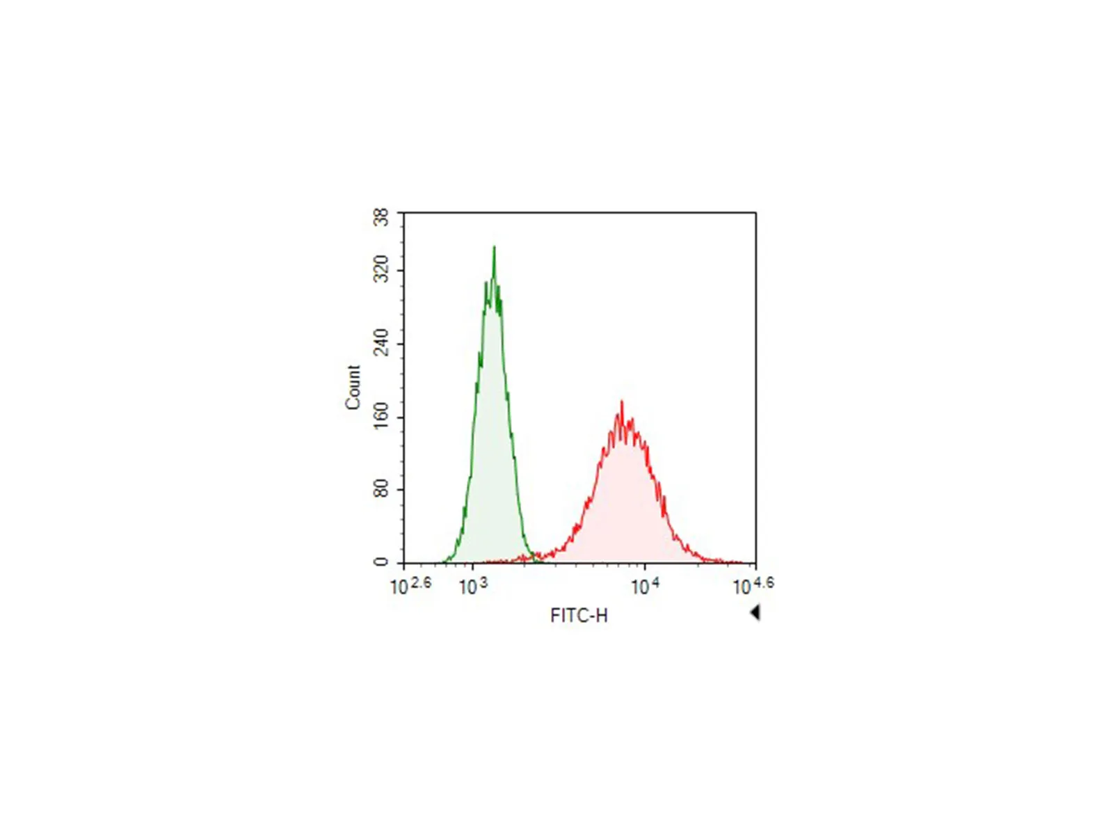 FITC-conjugated beta Tubulin Monoclonal Antibody - image 1