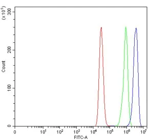 Matriptase 2 Antibody / TMPRSS6 - image 1