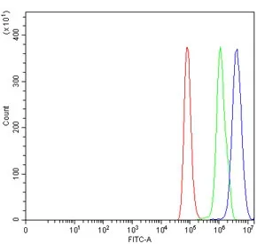 BRDT Antibody / Bromodomain testis-specific protein - image 1