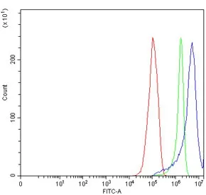 HCLS1 Antibody / Hematopoietic lineage cell-specific protein - image 1