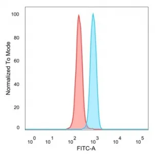 POGZ Antibody / Pogo transposable element with ZNF domain - image 1