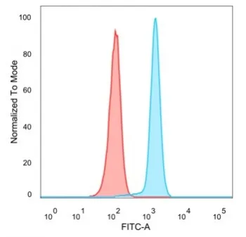 CDC5L Antibody - image 1