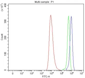 SEMA7A Antibody / Semaphorin 7a - image 1