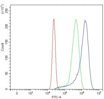 Fibroblast growth factor receptor 2 Antibody / FGFR2 - image 1