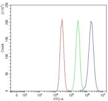 Sorting nexin 9 Antibody / SNX9 / SH3PX1 - image 1