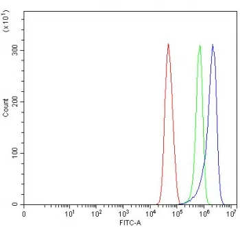 Sorting nexin 31 Antibody / SNX31 - image 1