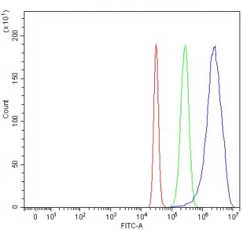 SMOC1 Antibody / SPARC-related modular calcium-binding protein 1 - image 1