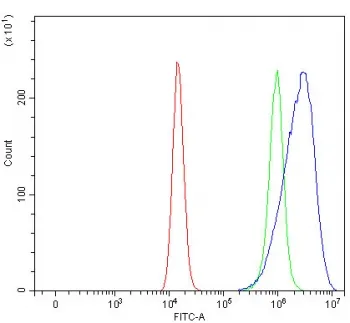 ROM1 Antibody / Rod outer segment membrane protein 1 - image 1