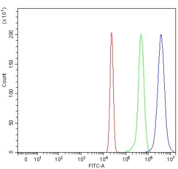 RTEL1 Antibody / Regulator of telomere elongation helicase 1 - image 1