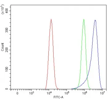 PIK3R6 Antibody / Phosphoinositide 3-kinase regulatory subunit 6 - image 1