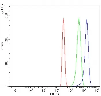 MBL2 Antibody / Mannose-binding lectin 2 - image 1