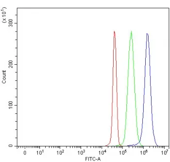 SH3BP2 Antibody / SH3 domain-binding protein 2 / 3BP2 - image 1