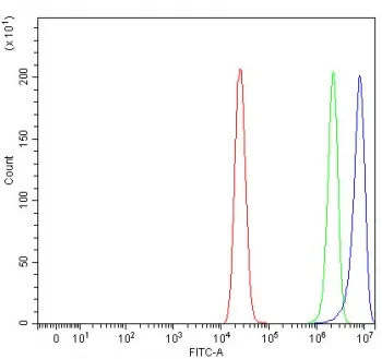 NECAB2 Antibody / N-terminal EF-hand calcium-binding protein 2 - image 1