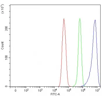 NECAB3 Antibody / N-terminal EF-hand calcium-binding protein 3 - image 1