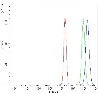 PUS7 Antibody / Pseudouridylate synthase 7 - image 1