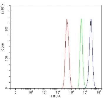 MAGEC3 Antibody / Melanoma-associated antigen C3 - image 1