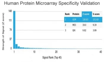 Alpha-2-M Antibody / Alpha-2-Macroglobulin / A2M - image 1