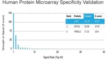 Interleukin 6 Receptor subunit beta Antibody / IL6ST / CD130 - image 1