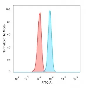 B-cell lymphoma/leukemia 11A Antibody / BCL11A - image 1