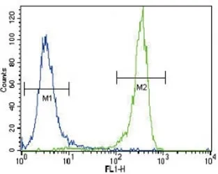 Fibroblast growth factor receptor 2 Antibody (FGFR2) - image 1