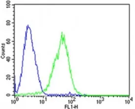 Dlk1 Antibody - image 1