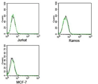 Rabbit IgG Isotype Control Polyclonal Antibody FITC Conjugate - image 1
