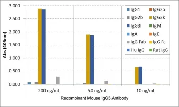 IgG3 Recombinant Antibody - image 1