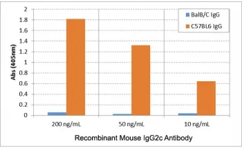 Mouse IgG2c Recombinant Antibody - image 1