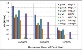 Mouse IgG Fab Recombinant Antibody - image 1