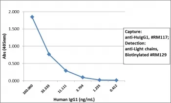 Human IgG1 Recombinant Antibody - image 1