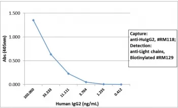 Human IgG2 Recombinant Antibody - image 1