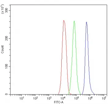 Bcl-XL Antibody - image 1