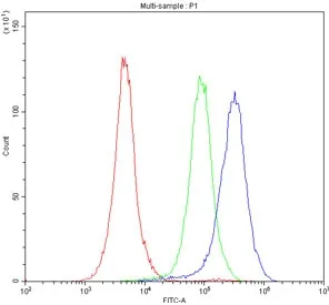 P-Selectin Antibody / CD62P - image 1