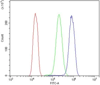EPS15 Antibody / Epidermal growth factor receptor substrate 15 - image 1