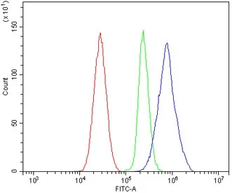 Par1 Antibody / F2r / Thrombin Receptor - image 1